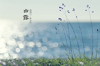 白露降，秋意濃