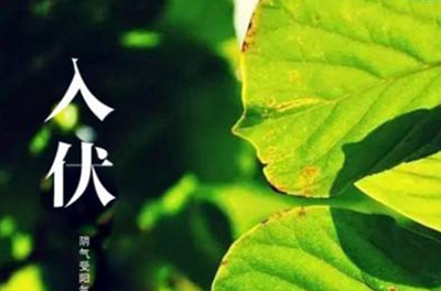入伏在即，酷暑將至