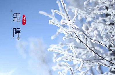 葉落草枯，秋晚凝霜
